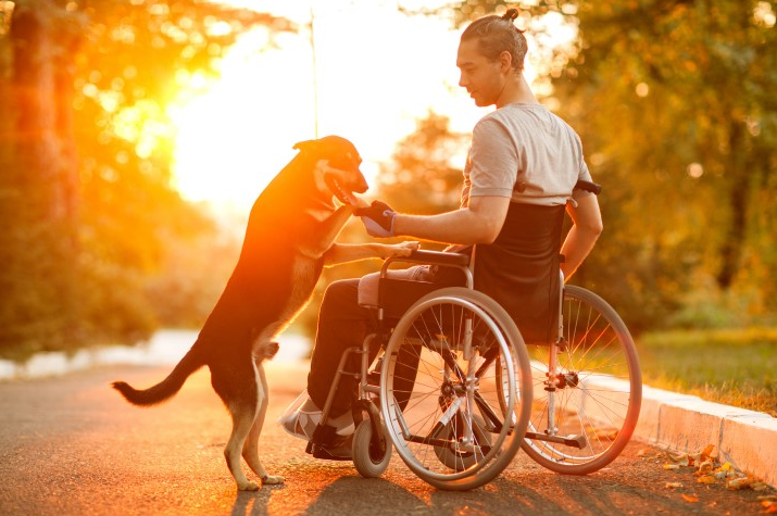 ADA National Network Service Animal Resource Hub